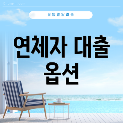 연체자 대출 옵션