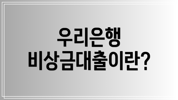 우리은행 비상금대출이란?