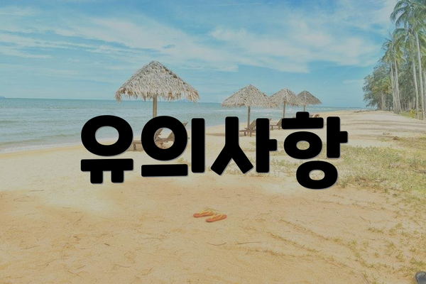 유의사항