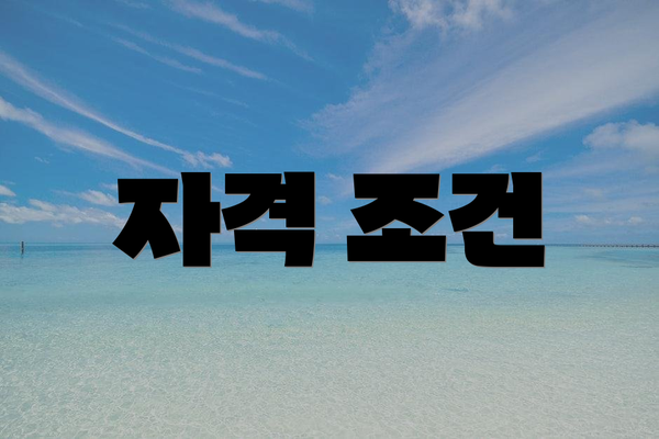 자격 조건
