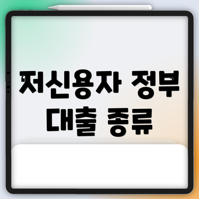 저신용자 정부 대출 종류