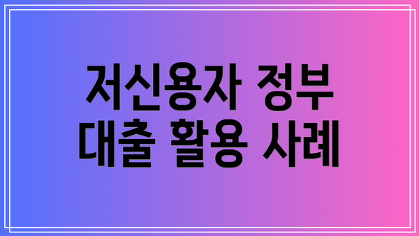 저신용자 정부 대출 활용 사례