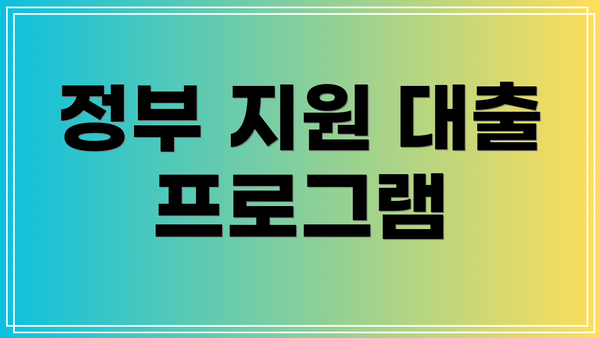 정부 지원 대출 프로그램