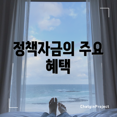정책자금의 주요 혜택