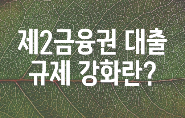 제2금융권 대출 규제 강화란?