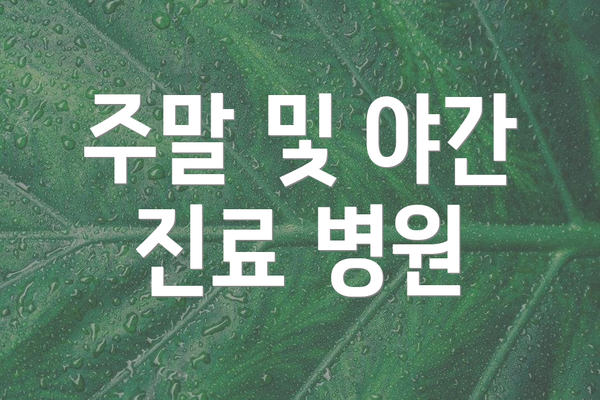 주말 및 야간 진료 병원