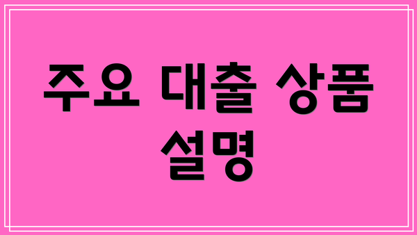 주요 대출 상품 설명