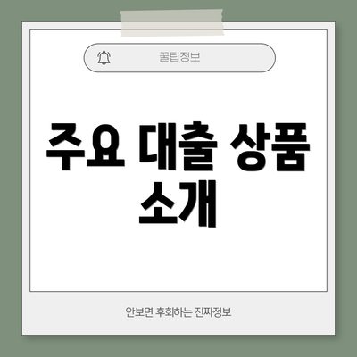 주요 대출 상품 소개