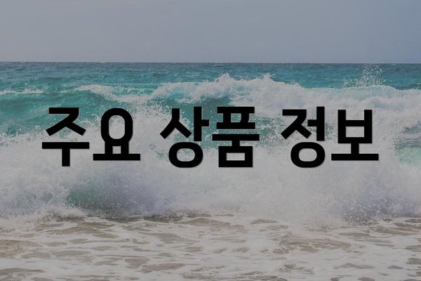 주요 상품 정보