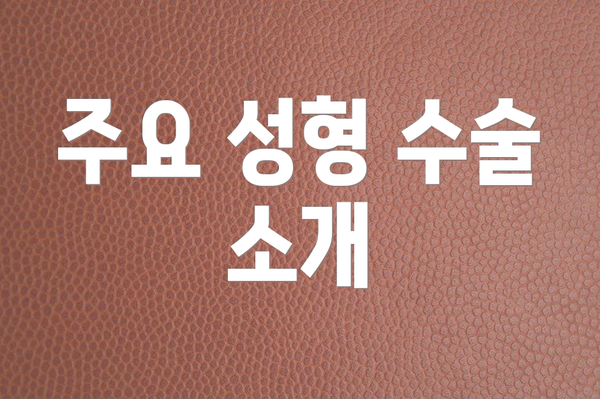 주요 성형 수술 소개