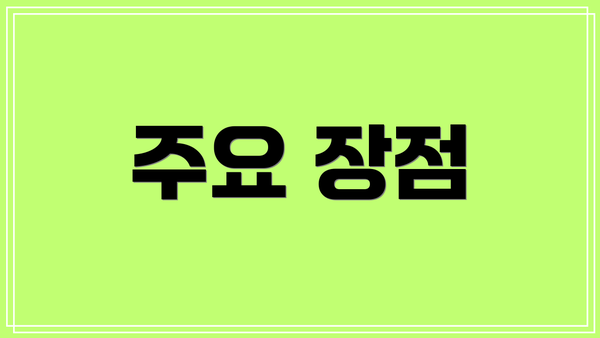 주요 장점