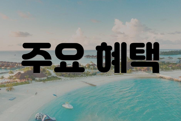 주요 혜택