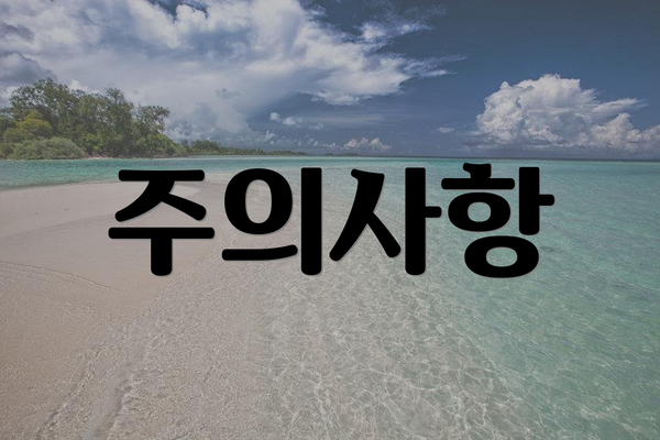주의사항