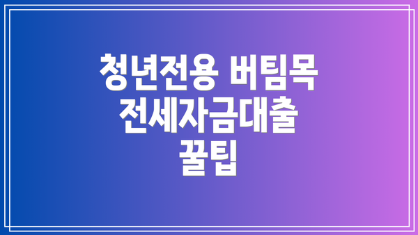 청년전용 버팀목 전세자금대출 진행 과정