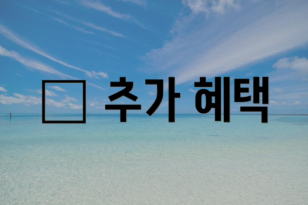 📌 추가 혜택