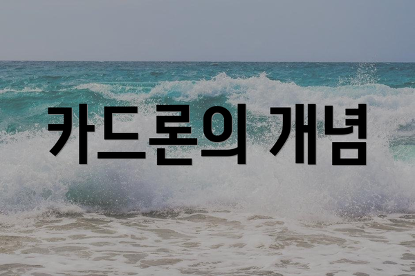 카드론의 개념