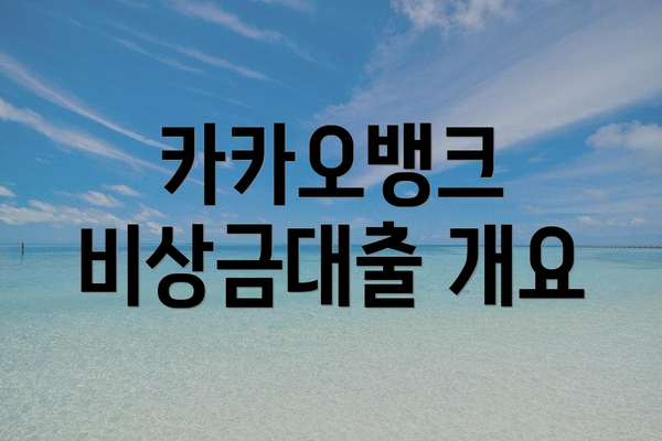 카카오뱅크 비상금대출 개요