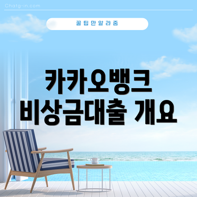 카카오뱅크 비상금대출 개요