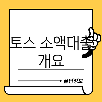 토스 소액대출 개요