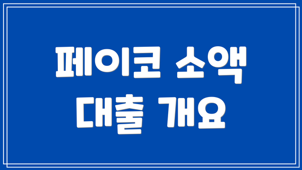 페이코 소액 대출 개요