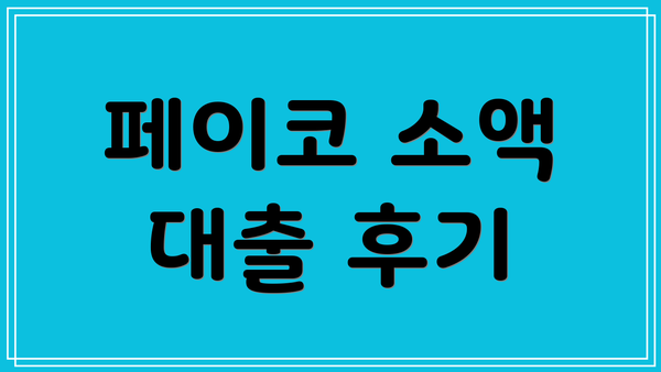 페이코 소액 대출 후기