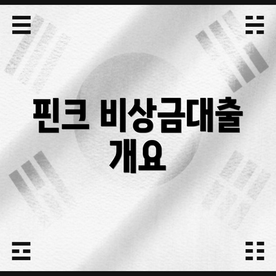 핀크 비상금대출 개요