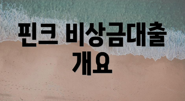 핀크 비상금대출 개요