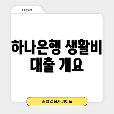하나은행 생활비 대출 개요