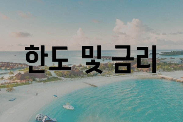 한도 및 금리