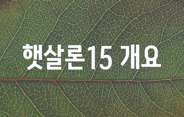 햇살론15 개요