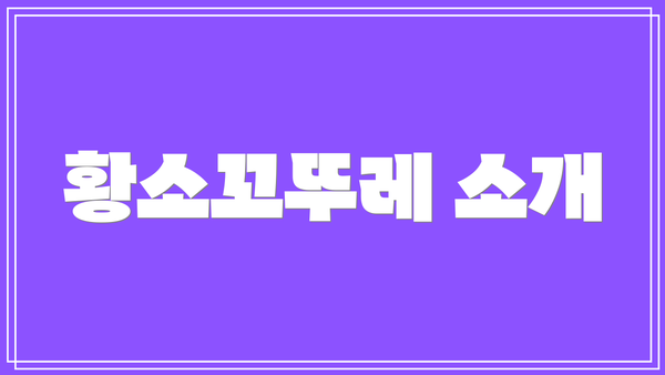 황소꼬뚜레 소개