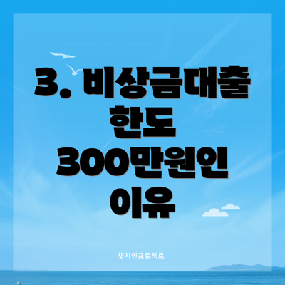 3. 비상금대출 한도 300만원인 이유