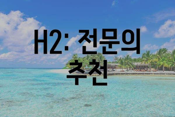 H2: 전문의 추천