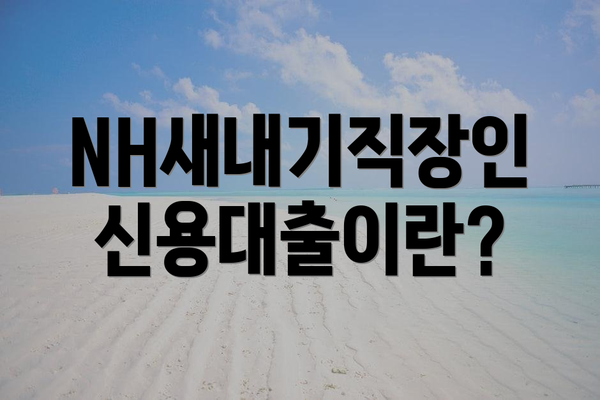 NH새내기직장인신용대출이란?
