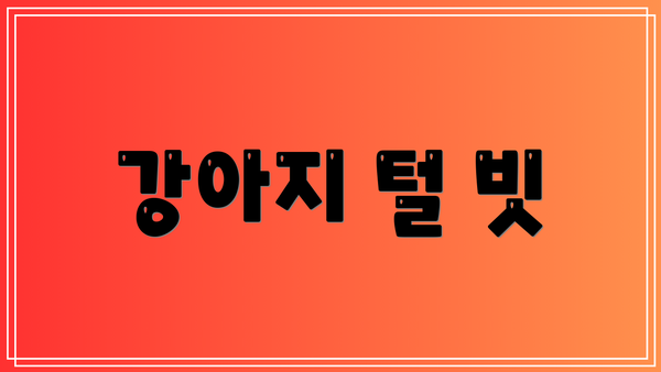 강아지 털 빗