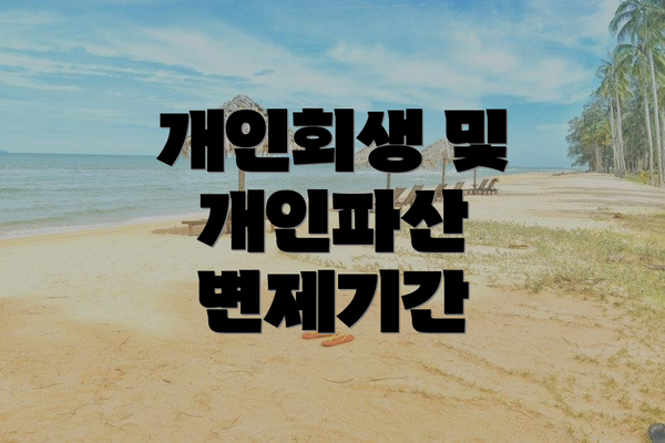 개인회생 및 개인파산 변제기간