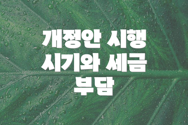 개정안 시행 시기와 세금 부담