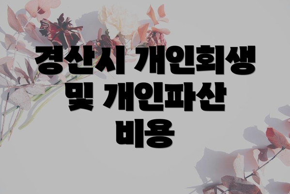 경산시 개인회생 및 개인파산 절차
