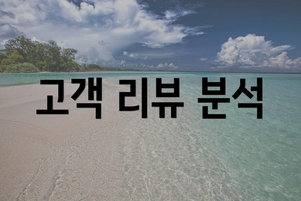 고객 리뷰 분석