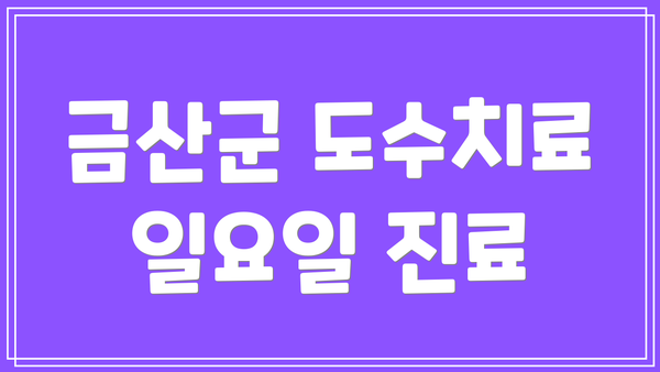 금산군 도수치료 일요일 진료