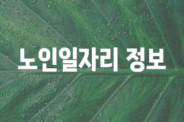 노인일자리 정보