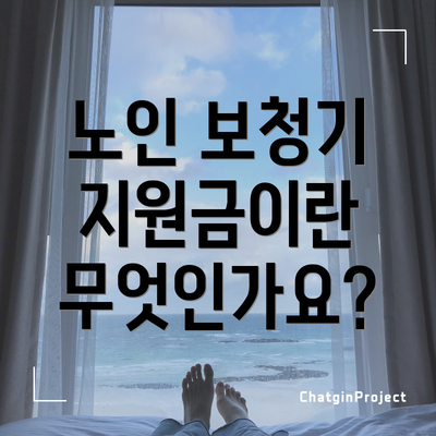 노인 보청기 지원금이란 무엇인가요?