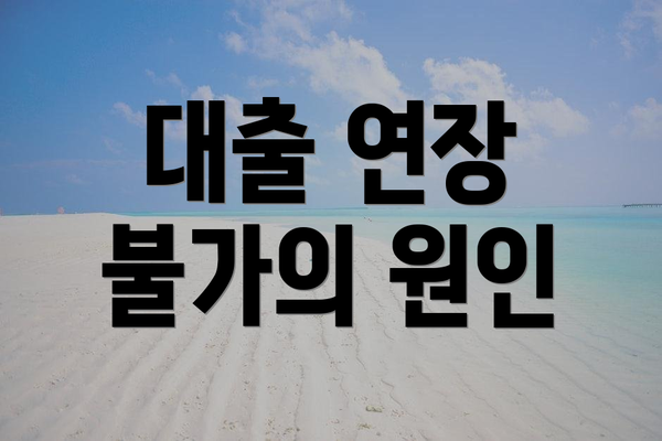 대출 연장 불가의 원인
