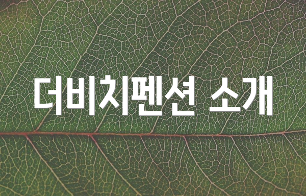 더비치펜션 소개