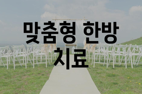 맞춤형 한방 치료