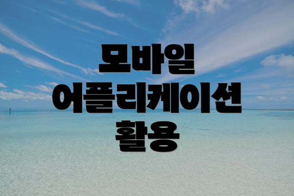모바일 어플리케이션 활용