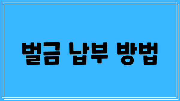 벌금 납부 방법