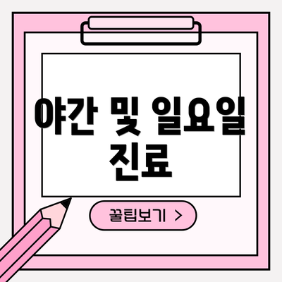야간 및 일요일 진료