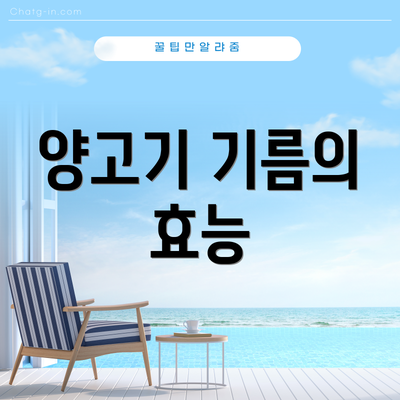 양고기 기름의 효능