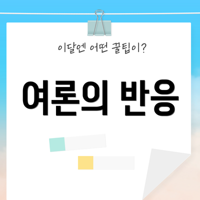 여론의 반응